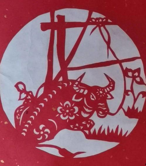 窗花在线观看,感受传统民俗魅力 第1张 窗花在线观看,感受传统民俗魅力 第1张